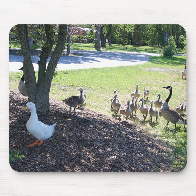 Alfombrilla De Ratón Pato blanco amistoso con los gansos (Frente)