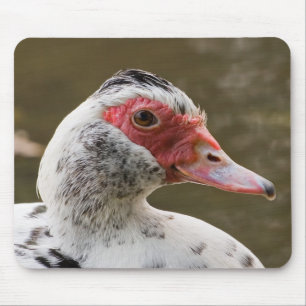 Alfombrilla De Ratón Pato de Muscovy Mousepad
