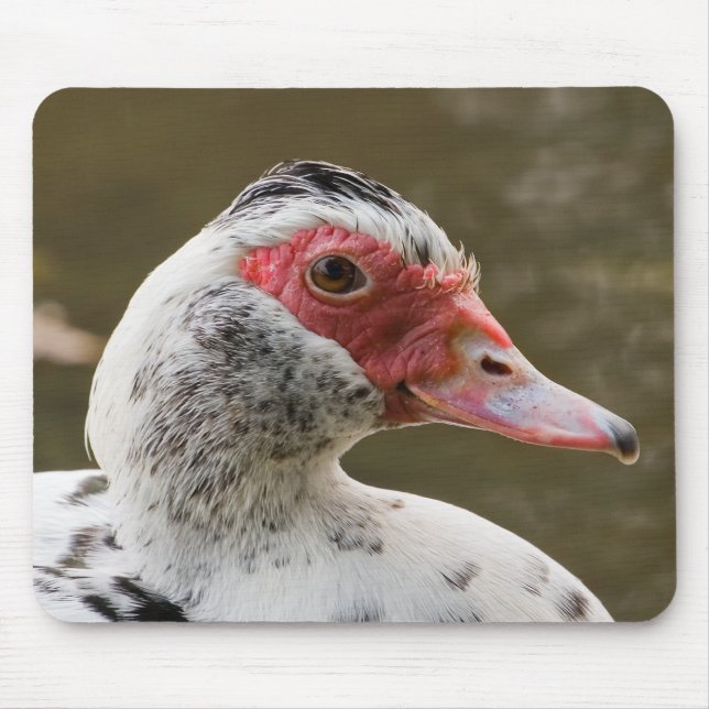 Alfombrilla De Ratón Pato de Muscovy Mousepad (Frente)