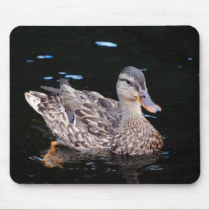 Alfombrilla De Ratón Pato Mallard