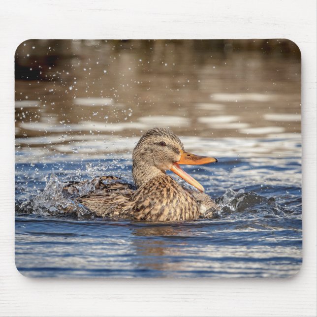 Alfombrilla De Ratón Pato Mallard en Downing Park (Frente)
