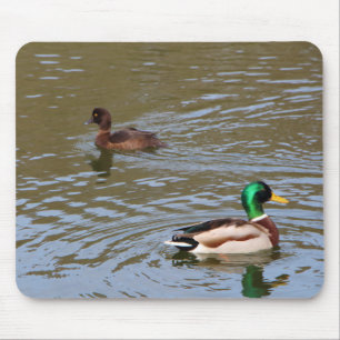 Alfombrilla De Ratón Pato mallard y pato tufado en un río