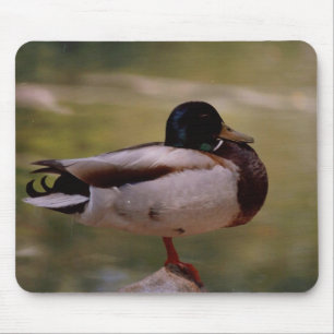 Alfombrilla De Ratón Pato Mousepad