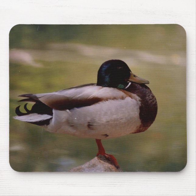 Alfombrilla De Ratón Pato Mousepad (Frente)