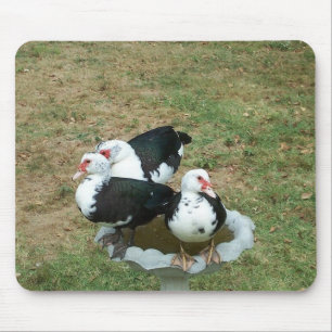 Alfombrilla De Ratón Pato Mousepad