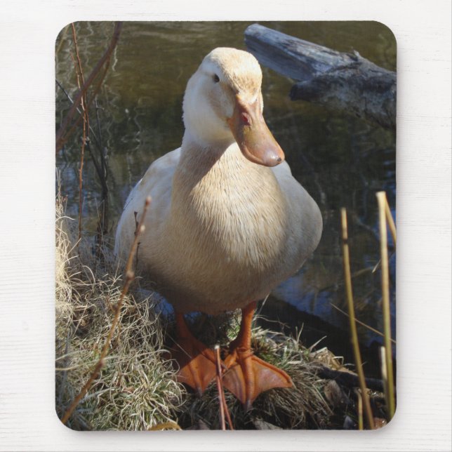 Alfombrilla De Ratón Pato Mousepad de Sajonia (Frente)