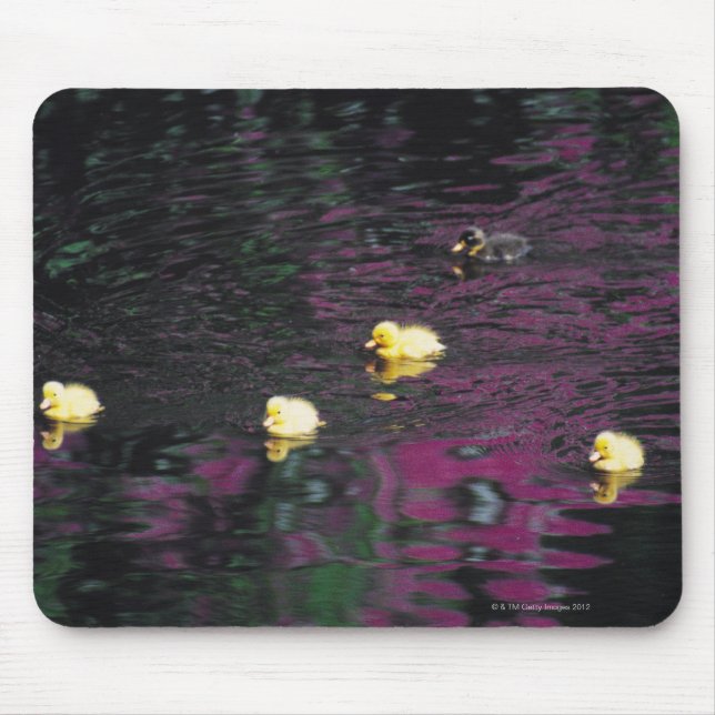 Alfombrilla De Ratón patos (Frente)