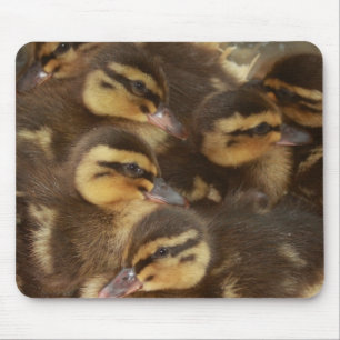 Alfombrilla De Ratón ¡Patos!!