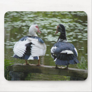 Alfombrilla De Ratón Patos de Muscovy