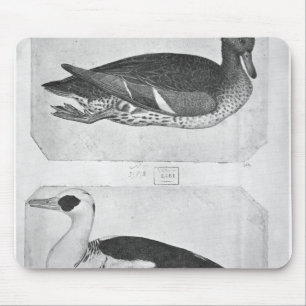 Alfombrilla De Ratón Patos, el álbum de Vallardi