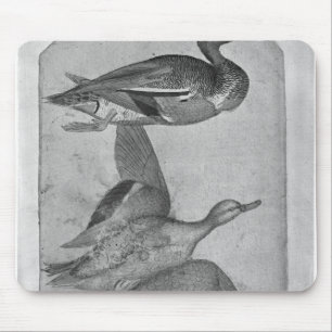 Alfombrilla De Ratón Patos, el álbum de Vallardi