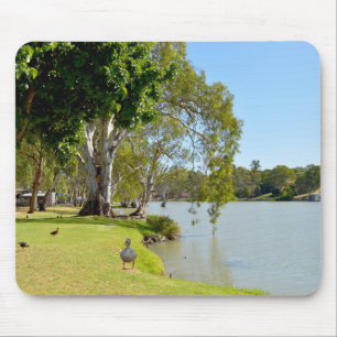 Alfombrilla De Ratón Patos En El Río Murray Australia,