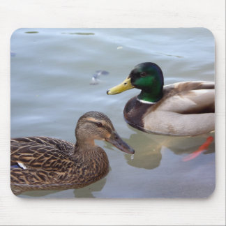 Alfombrilla De Ratón Patos en una charca Mousepad