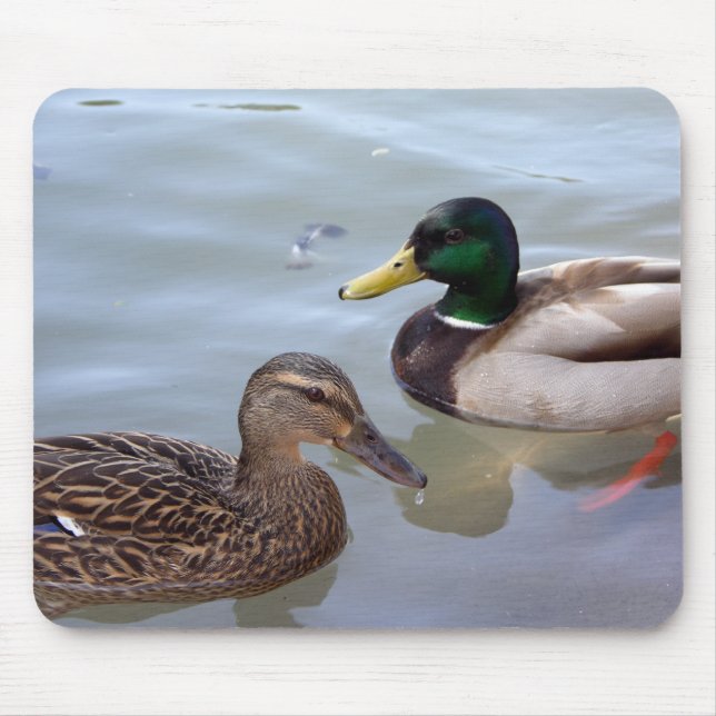 Alfombrilla De Ratón Patos en una charca Mousepad (Frente)