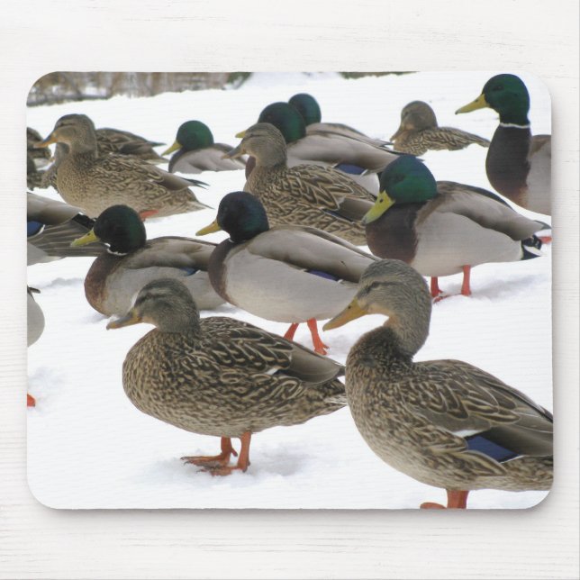 Alfombrilla De Ratón ¡Patos! Mousepad (Frente)