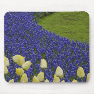 Alfombrilla De Ratón Patrón de jardín de flores de jacinto de uva y 2
