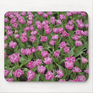 Alfombrilla De Ratón Patrón de jardín de tulipanes, Jardines Keukenhof,