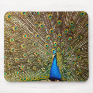 Alfombrilla De Ratón Patrón de pavo real Pintura de arte de pavo real A