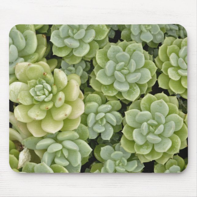 Alfombrilla De Ratón patrón de planta de stonecrop (Frente)