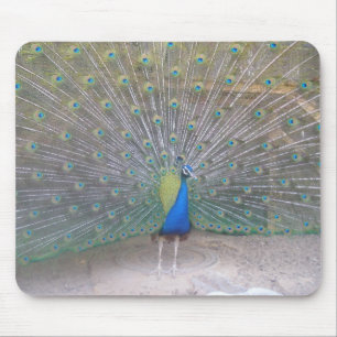 Alfombrilla De Ratón Pavo real