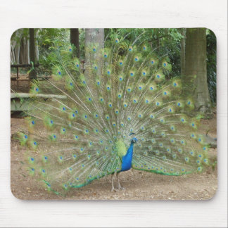 Alfombrilla De Ratón Pavo real