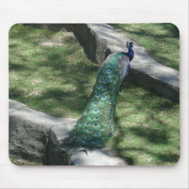 Alfombrilla De Ratón pavo real