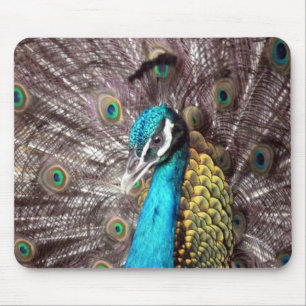Alfombrilla De Ratón pavo real