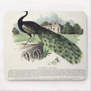 Alfombrilla De Ratón Pavo real