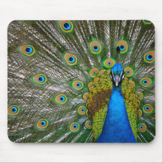 Alfombrilla De Ratón Pavo real