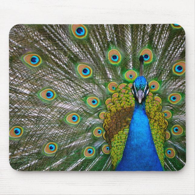 Alfombrilla De Ratón Pavo real (Frente)