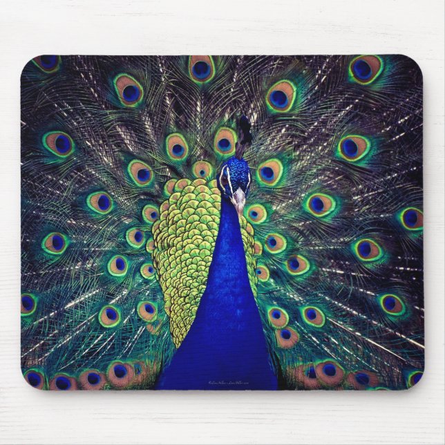 Alfombrilla De Ratón Pavo Real Azul Cobalto (Frente)