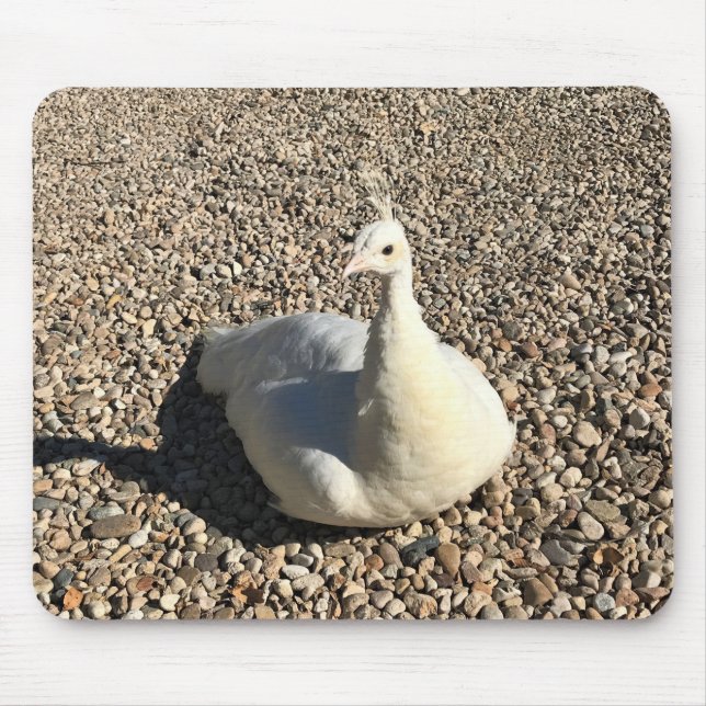 Alfombrilla De Ratón Pavo Real Blanco, Idaho (Frente)