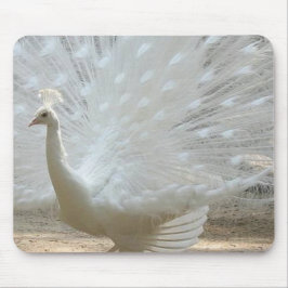 Alfombrilla De Ratón pavo real blanco magnífico