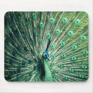 Alfombrilla De Ratón Pavo real contonea 