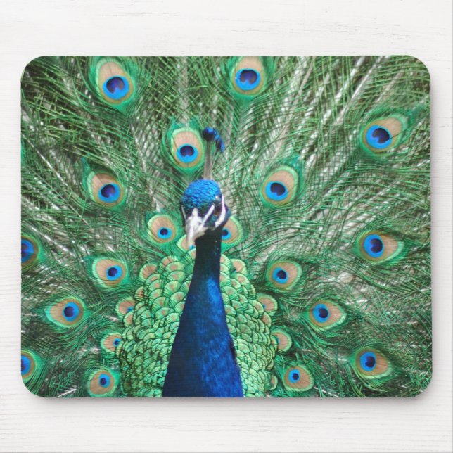 Alfombrilla De Ratón Pavo real Mousepad (Frente)