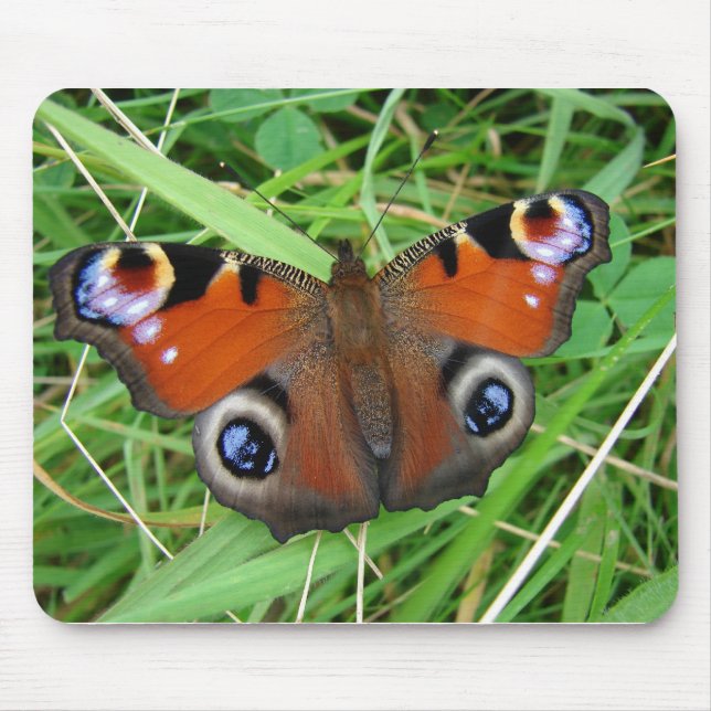 Alfombrilla De Ratón Pavo real Mousepad (Frente)