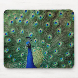 Alfombrilla De Ratón Pavo real, mousepad