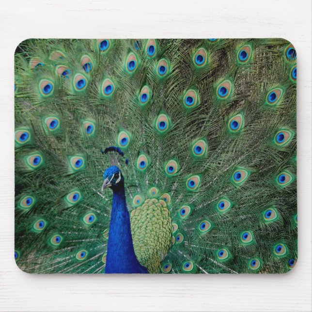 Alfombrilla De Ratón Pavo real, mousepad (Frente)