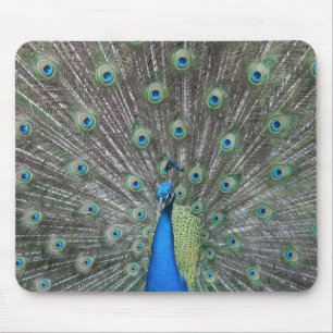 Alfombrilla De Ratón Pavo real Mousepad