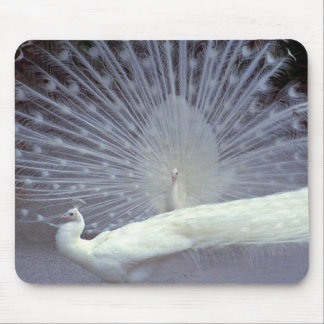 Alfombrilla De Ratón Pavos reales blancos Mousepad
