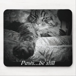Alfombrilla De Ratón Paws...be still. Funny Cat