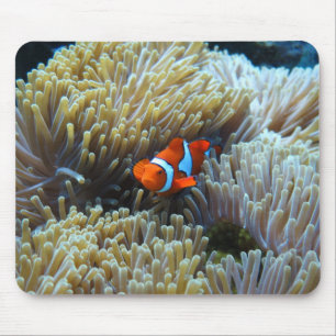 Alfombrilla De Ratón Payaso en un arrecife de coral