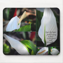 Paz y fuerza internas