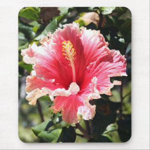 Alfombrilla De Ratón Peach Hibiscus Photo Mousepad