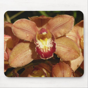 Alfombrilla De Ratón Peach Orquídeas con gotas de lluvia