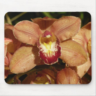 Alfombrilla De Ratón Peach Orquídeas con gotas de lluvia