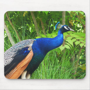 Alfombrilla De Ratón Peacock