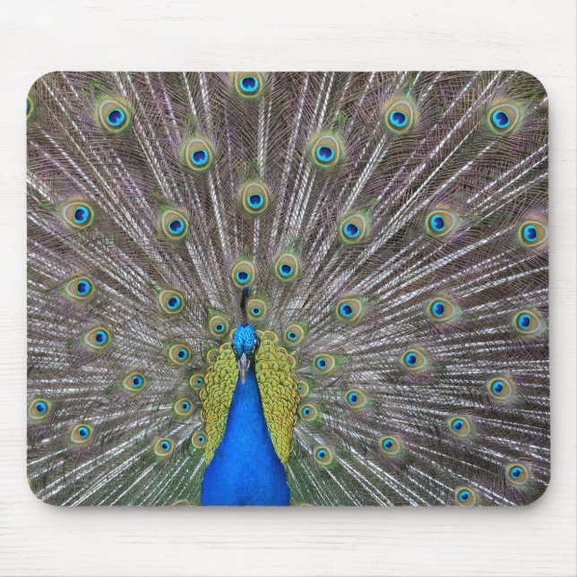 Alfombrilla De Ratón Peacock (Frente)