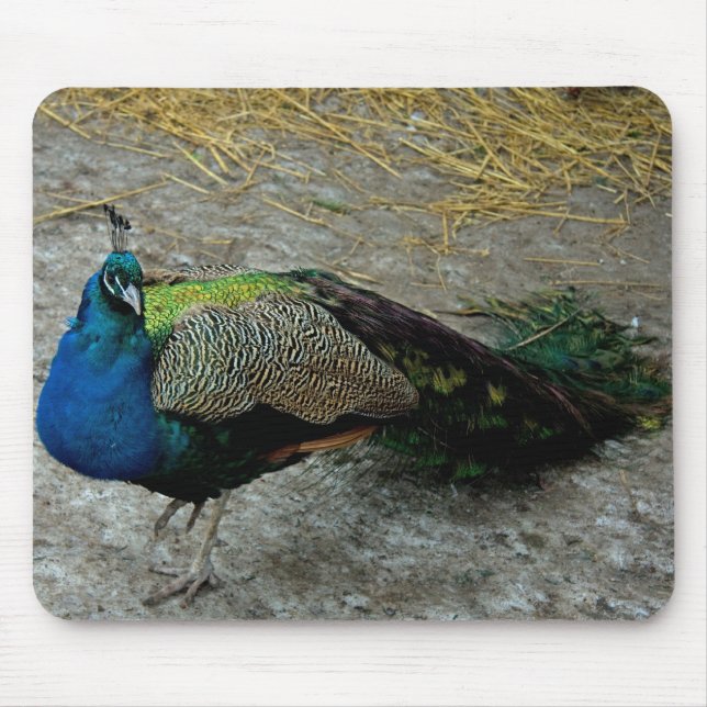 Alfombrilla De Ratón Peacock (Frente)