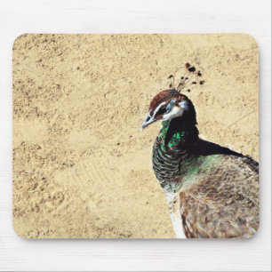 Alfombrilla De Ratón Peacock